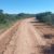 Prefeitura Municipal promove patrolamento no Alto Bonito